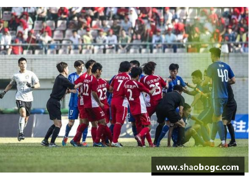 归化5球员：新视野下的球队重生