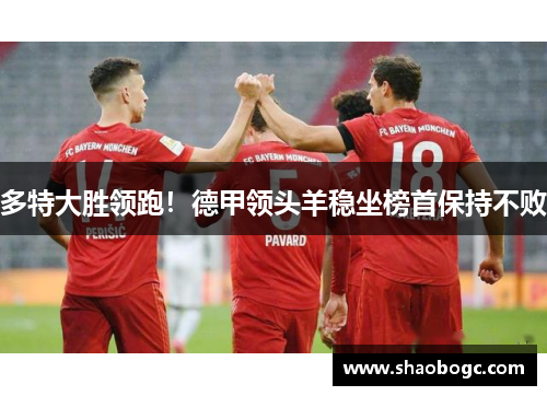 多特大胜领跑！德甲领头羊稳坐榜首保持不败
