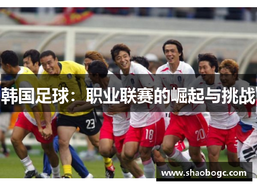 韩国足球：职业联赛的崛起与挑战