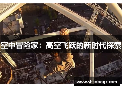 空中冒险家：高空飞跃的新时代探索