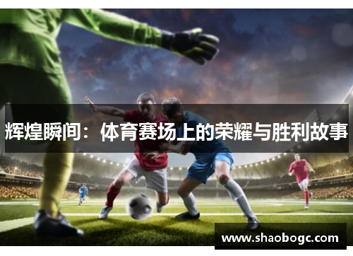 辉煌瞬间：体育赛场上的荣耀与胜利故事