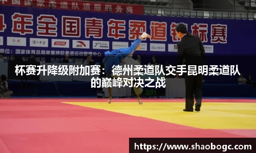 杯赛升降级附加赛：德州柔道队交手昆明柔道队的巅峰对决之战